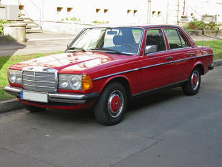 1976 250 (W123)